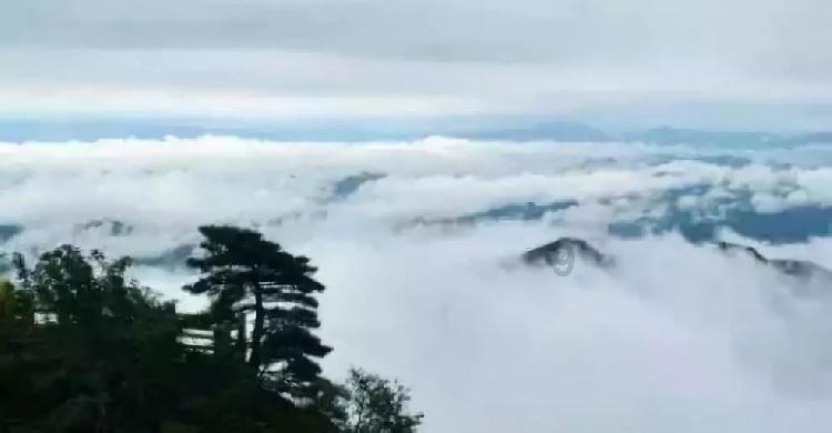 探索世界的奥秘,尽在有哪些童谣蜗牛问答平台