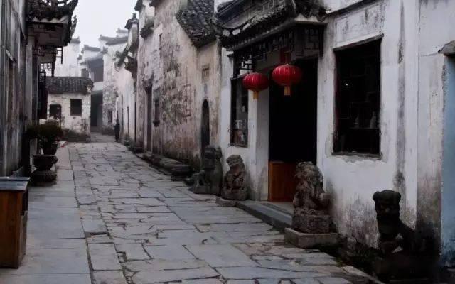 小猫钓鱼正版下载中文版