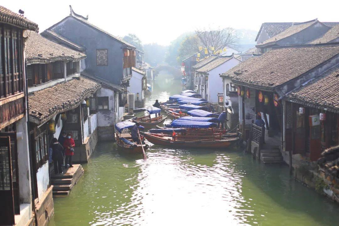 动物帮帮忙保卫家园